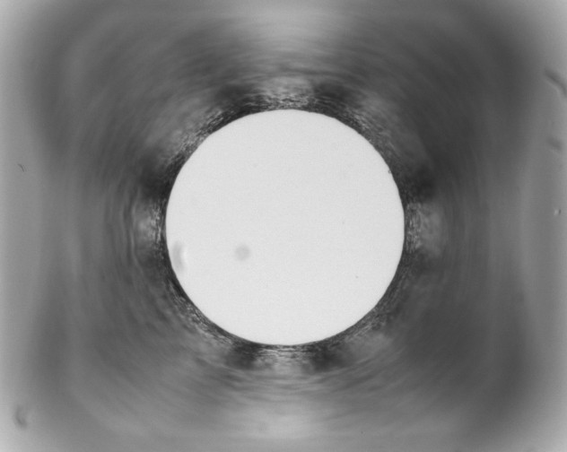 X0000102250713200808151817