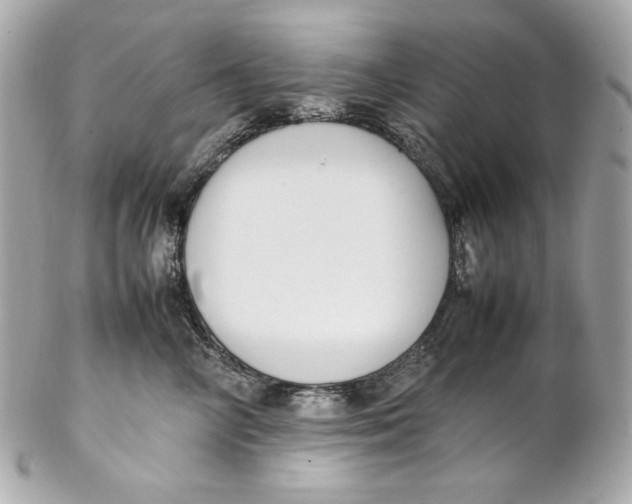 X0000102250714200808151817