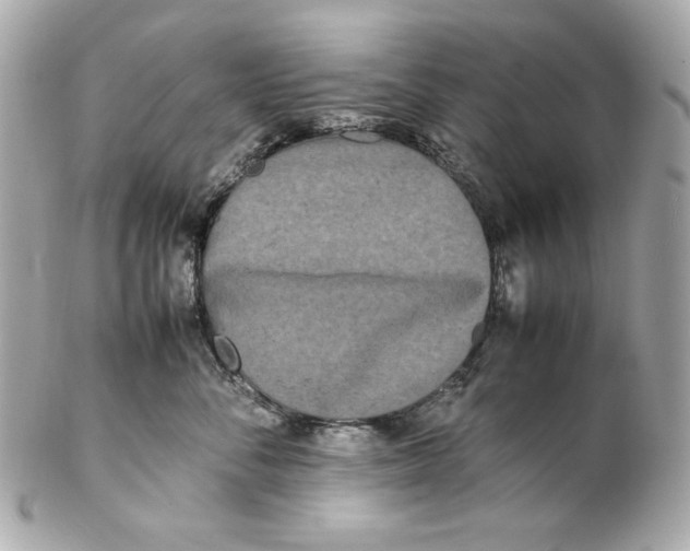 X0000102250716200808151817