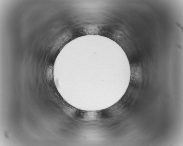 X0000102250717200808151817