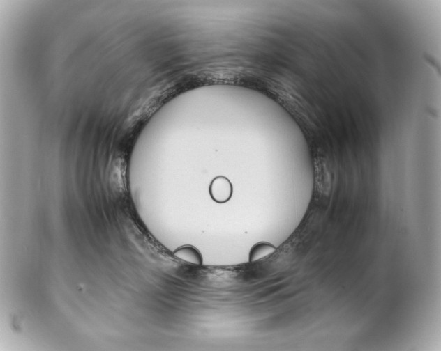 X0000102250718200808151817