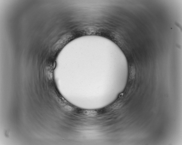 X0000102250719200808151817