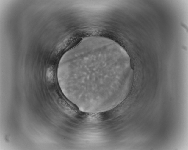 X0000102250720200808151817