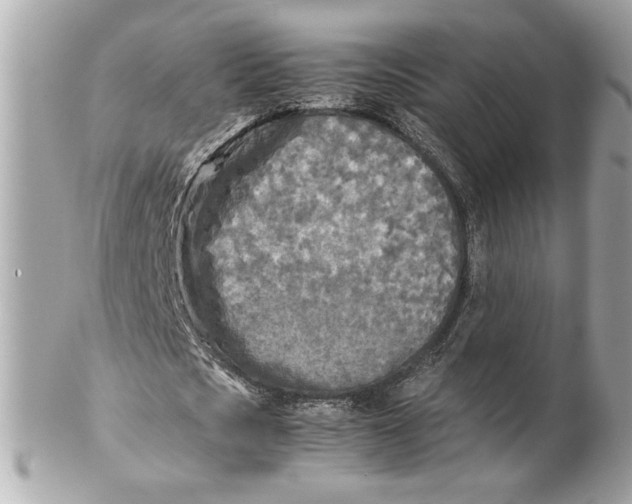 X0000102250721200808151816