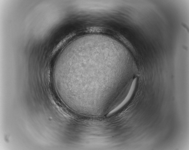 X0000102250722200808151816