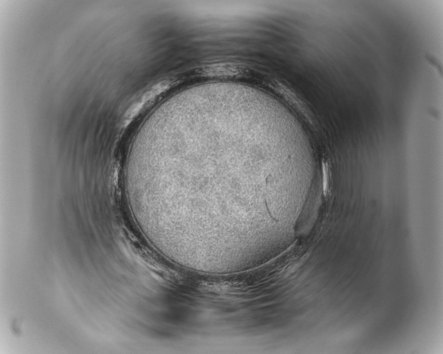 X0000102250723200808151816