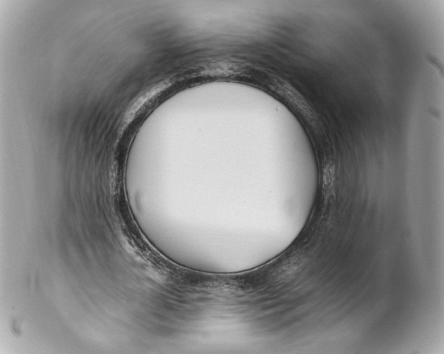 X0000102250724200808151816