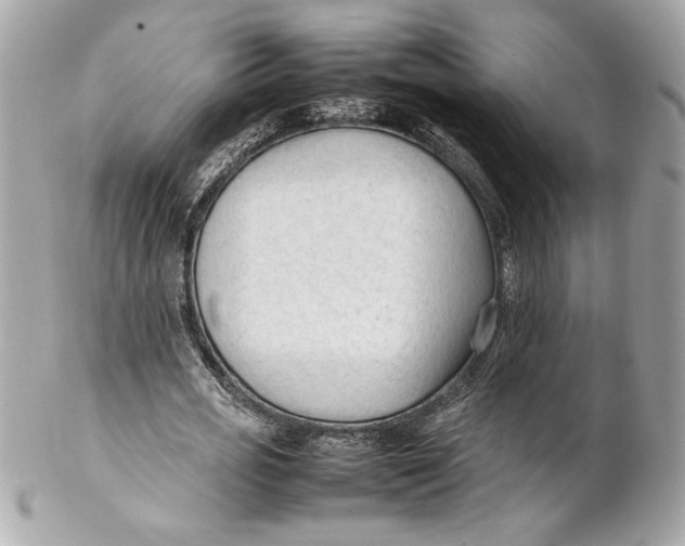 X0000102250725200808151816