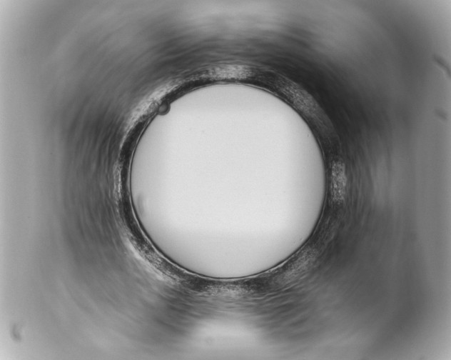 X0000102250726200808151816