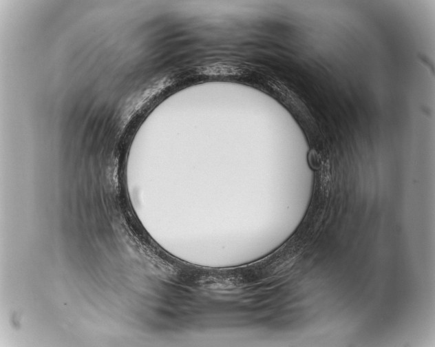 X0000102250727200808151816