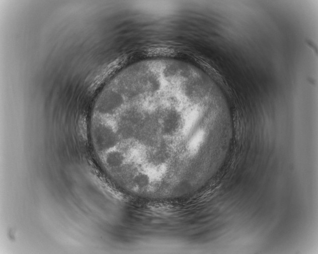 X0000102250729200808151816