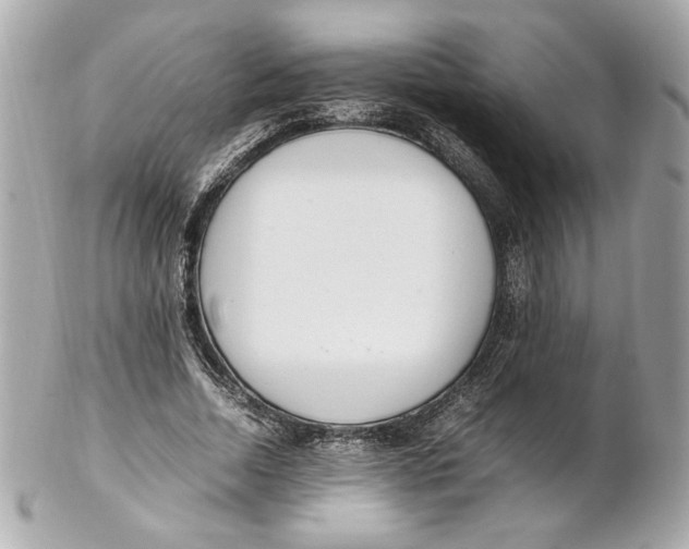 X0000102250730200808151817