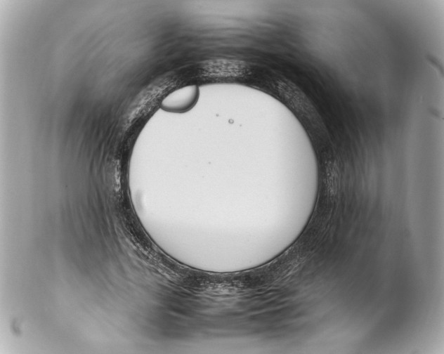 X0000102250731200808151817