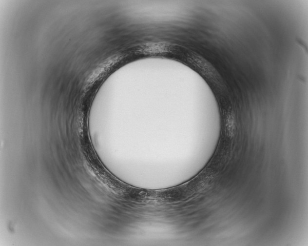 X0000102250732200808151817