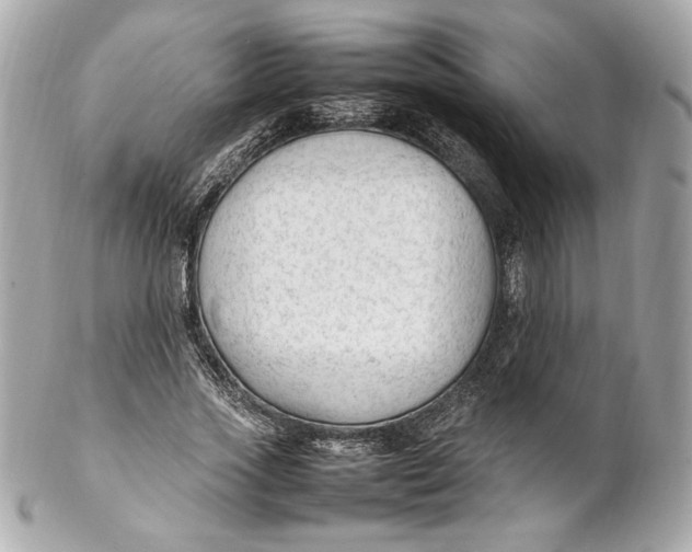 X0000102250733200808151817