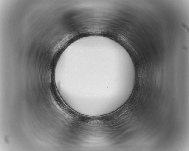 X0000102250734200808151817