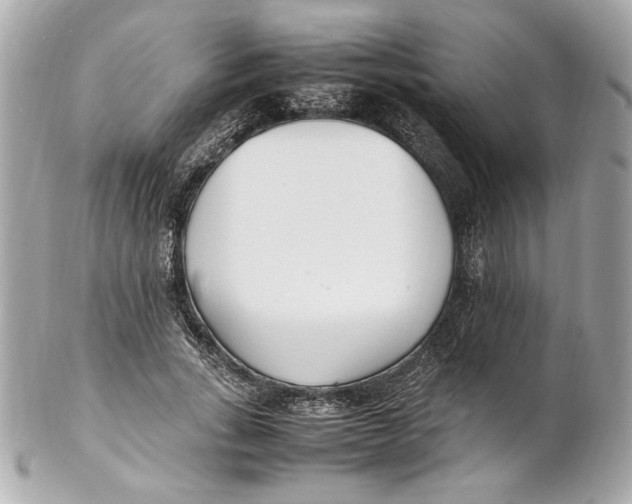 X0000102250735200808151817