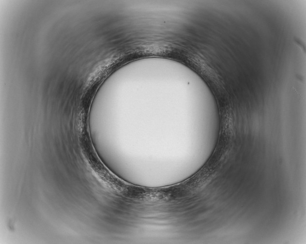 X0000102250736200808151817