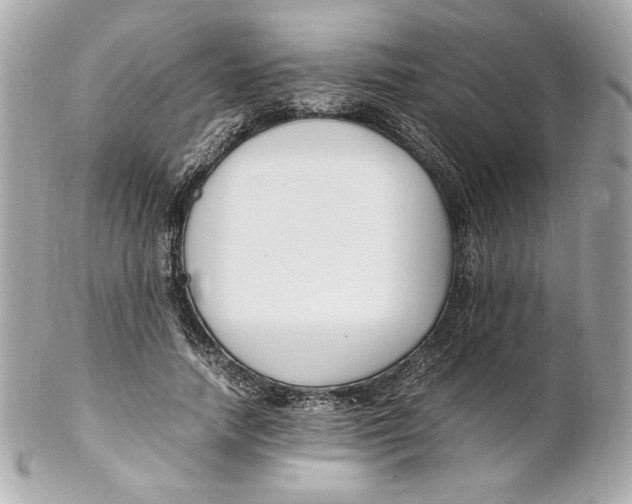 X0000102250738200808151817