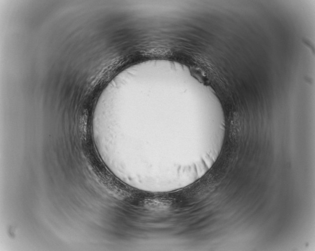 X0000102250739200808151817