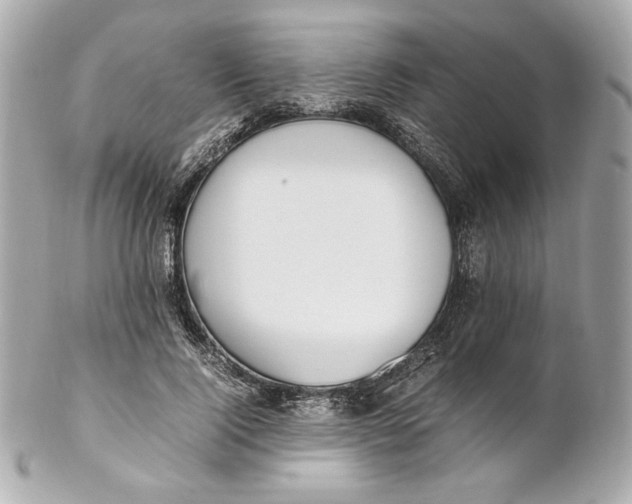 X0000102250740200808151817