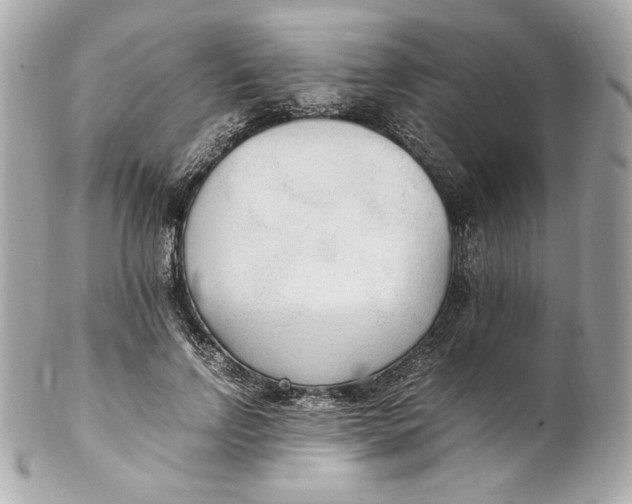 X0000102250742200808151817