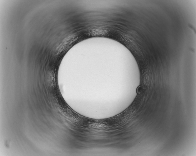 X0000102250743200808151817