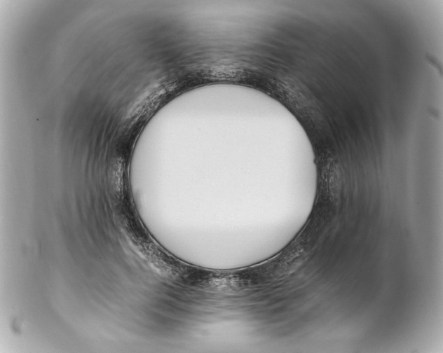 X0000102250744200808151817