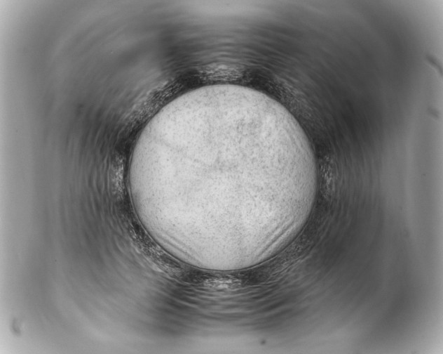 X0000102250745200808151817