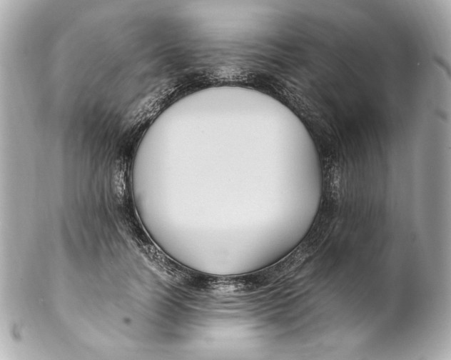 X0000102250746200808151817