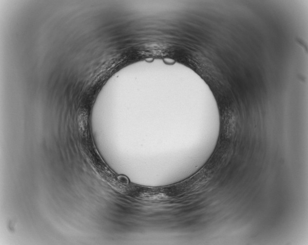 X0000102250747200808151817