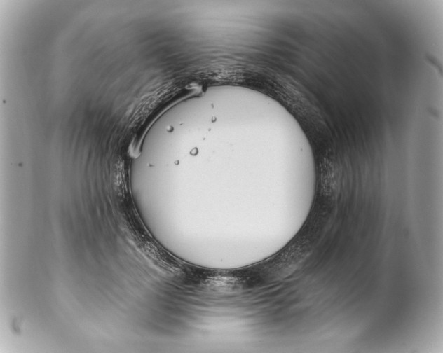 X0000102250748200808151817