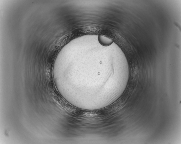 X0000102250749200808151817