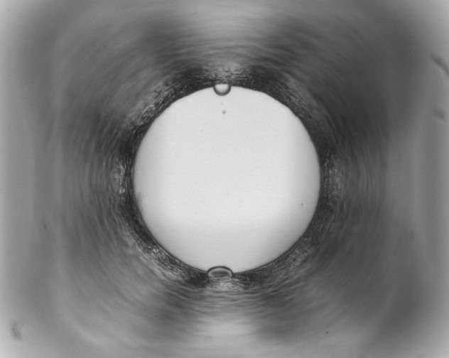 X0000102250750200808151817