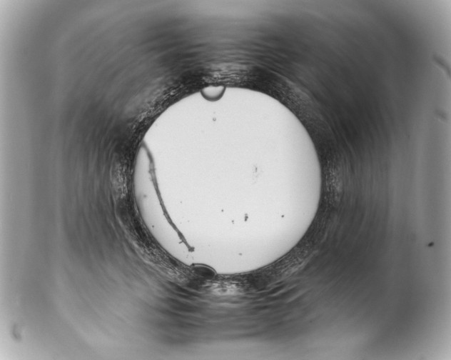 X0000102250751200808151817