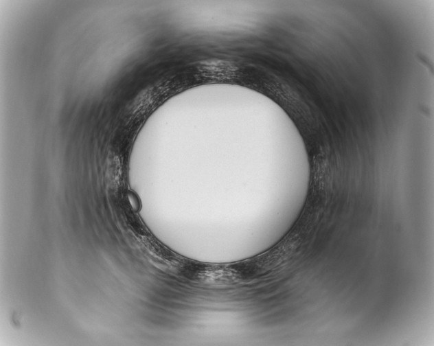 X0000102250752200808151817