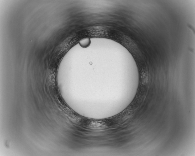 X0000102250753200808151817