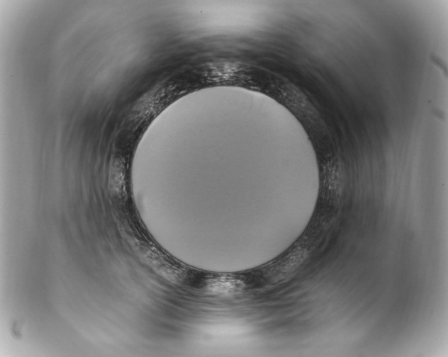 X0000102250754200808151817