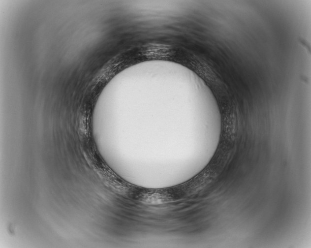 X0000102250755200808151817