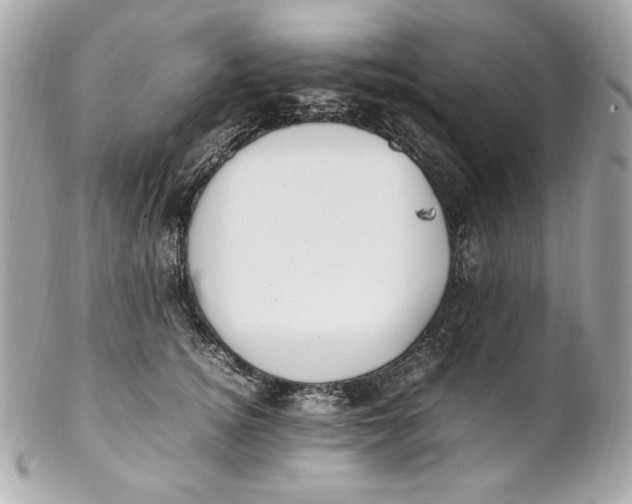 X0000102250756200808151817