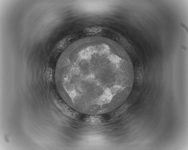 X0000102250758200808151817