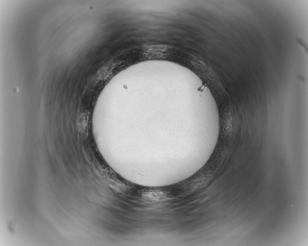 X0000102250759200808151817