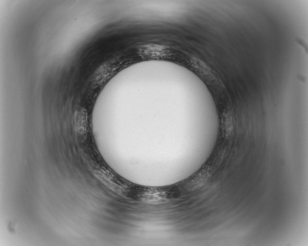 X0000102250760200808151817