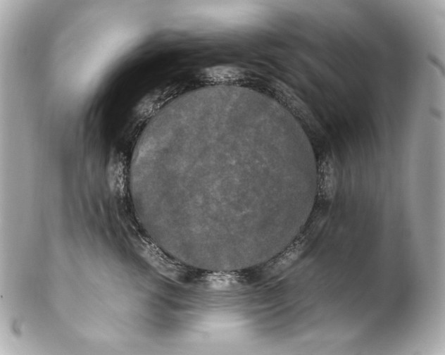 X0000102250762200808151817