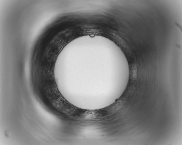 X0000102250764200808151817