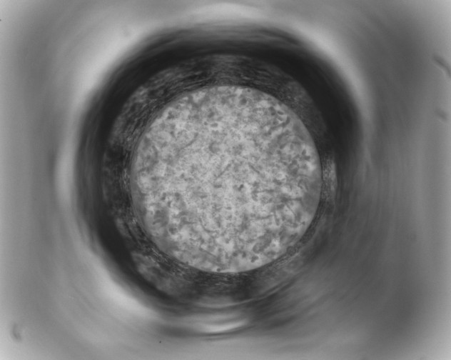 X0000102250765200808151817