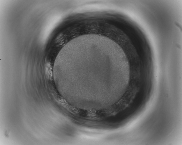 X0000102250766200808151817