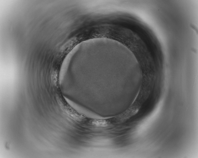 X0000102250767200808151817