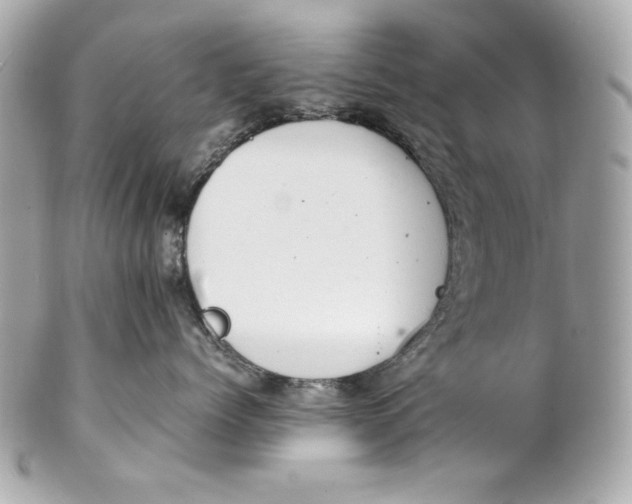 X0000102250768200808151817