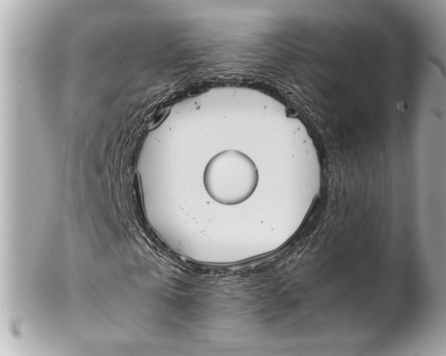 X0000102250769200808151816